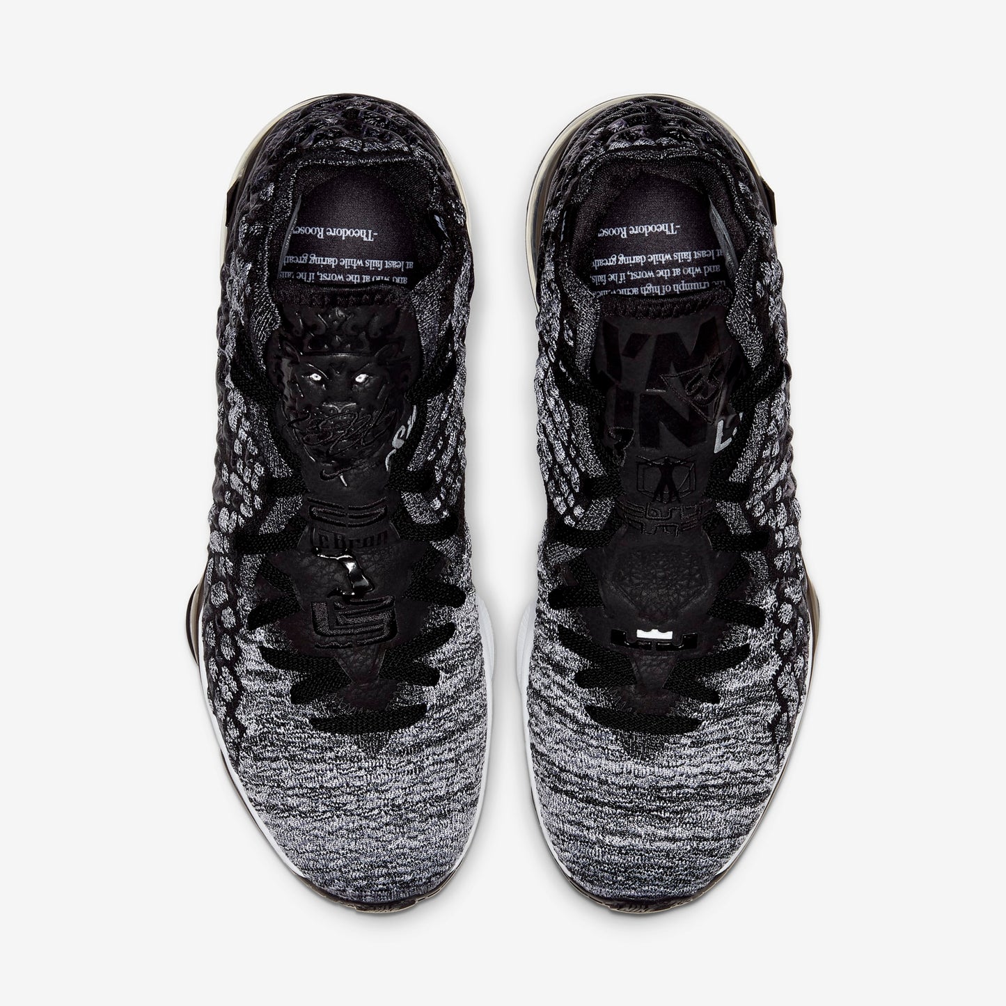 Nike Lebron 17