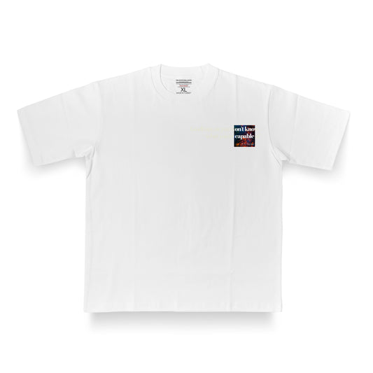 Delicate Balance "All In, Always" Heavyweight Overzised t-shirt