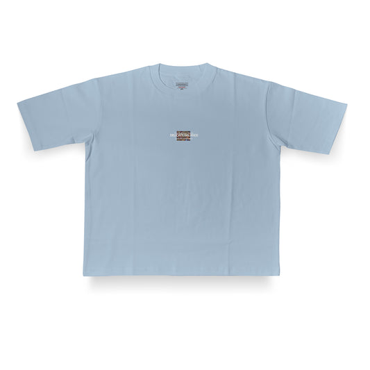 Sassy Classy DP052 Heavyweight Boxy Fit Tee "Unstoppable"