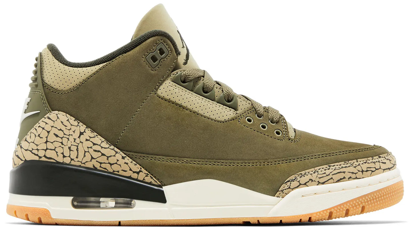 Air Jordan 3 Retro 'Family Affair'