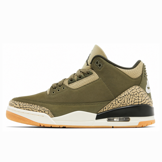 Air Jordan 3 Retro 'Family Affair'