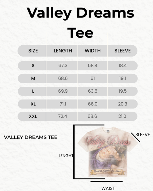 Valley Dreams  "Sports Division" Gym Grey Tee