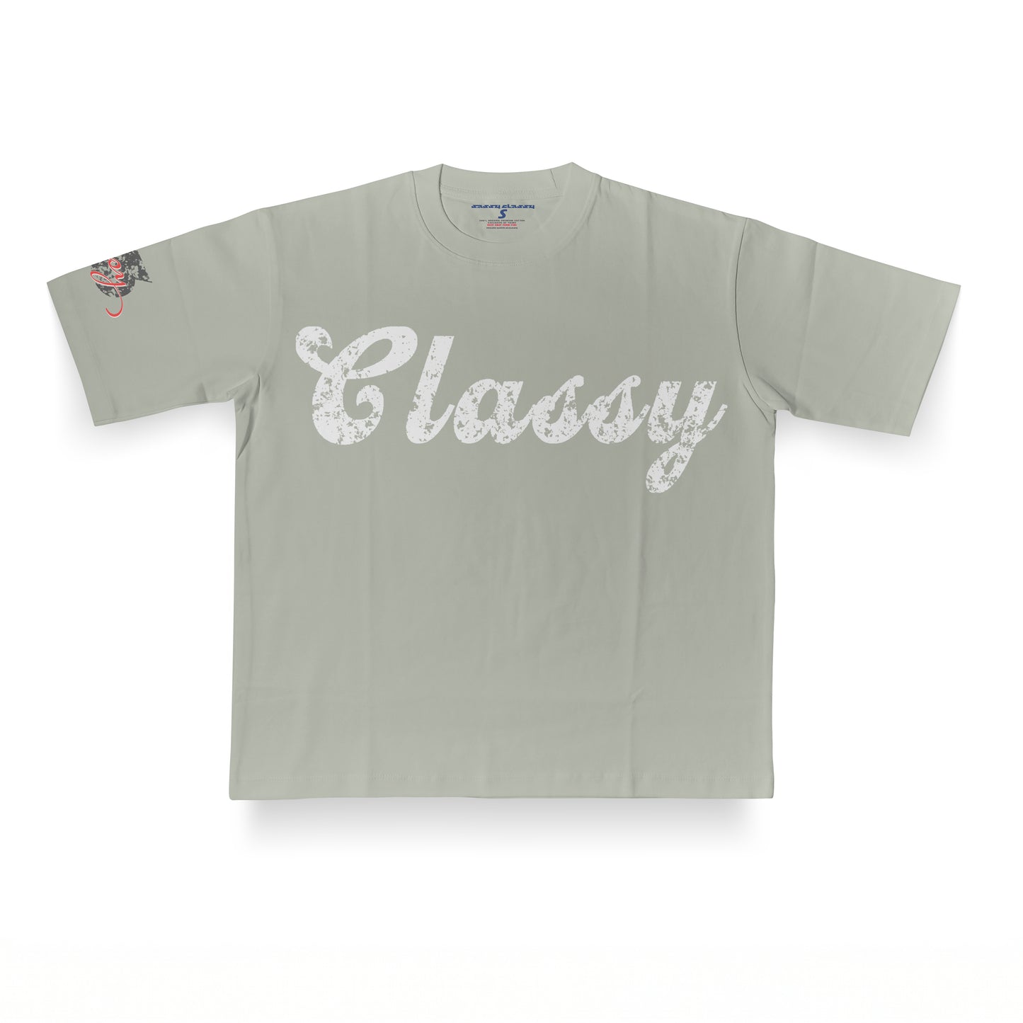 Sassy Classy DR02 Enhanced 13 Beige Heavyweight Boxy Fit Tee